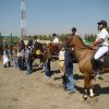 مسابقات سوارکاری (کیش)