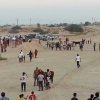مسابقه کورس بندر لنگه مورخ 93/07/25